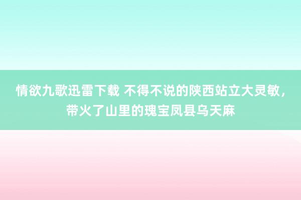 情欲九歌迅雷下载 不得不说的陕西站立大灵敏，带火了山里的瑰宝凤县乌天麻