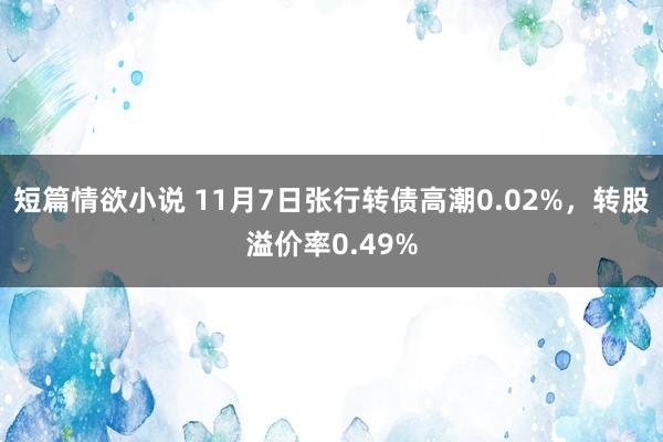 短篇情欲小说 11月7日张行转债高潮0.02%，转股溢价率0.49%