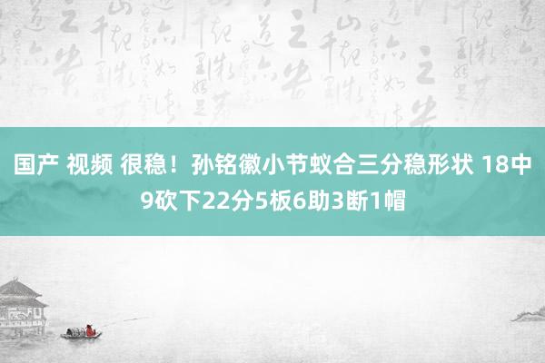 国产 视频 很稳！孙铭徽小节蚁合三分稳形状 18中9砍下22分5板6助3断1帽