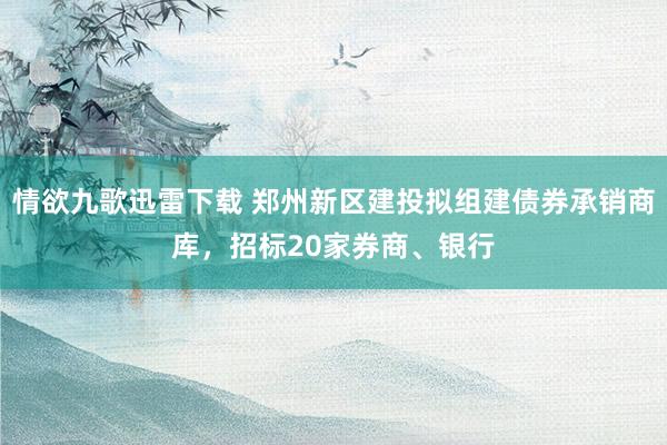 情欲九歌迅雷下载 郑州新区建投拟组建债券承销商库，招标20家券商、银行