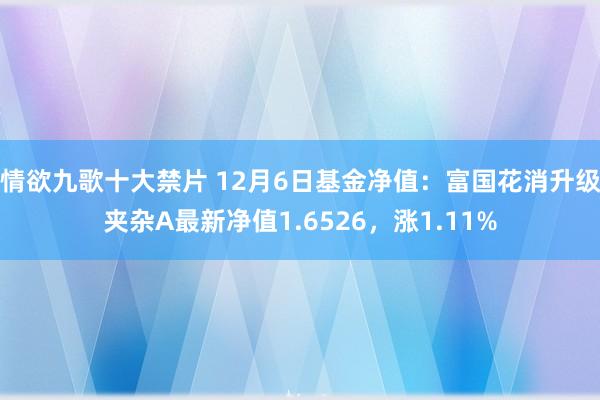 情欲九歌十大禁片 12月6日基金净值：富国花消升级夹杂A最新净值1.6526，涨1.11%