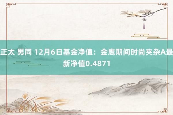 正太 男同 12月6日基金净值：金鹰期间时尚夹杂A最新净值0.4871