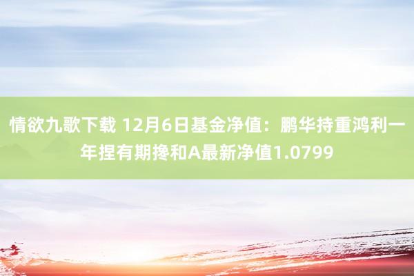 情欲九歌下载 12月6日基金净值：鹏华持重鸿利一年捏有期搀和A最新净值1.0799