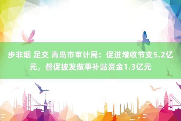 步非烟 足交 青岛市审计局：促进增收节支5.2亿元，督促披发做事补贴资金1.3亿元