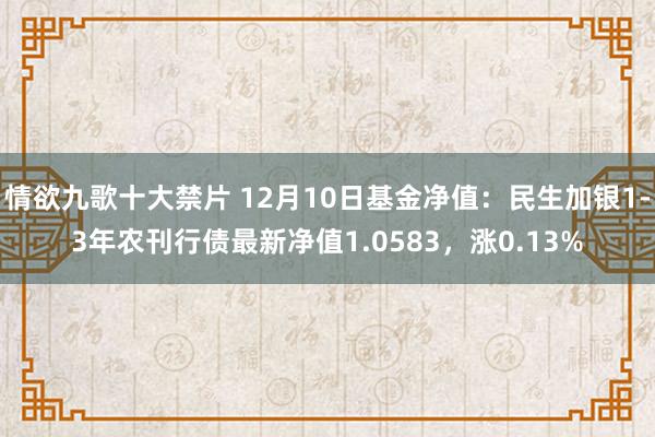 情欲九歌十大禁片 12月10日基金净值：民生加银1-3年农刊行债最新净值1.0583，涨0.13%