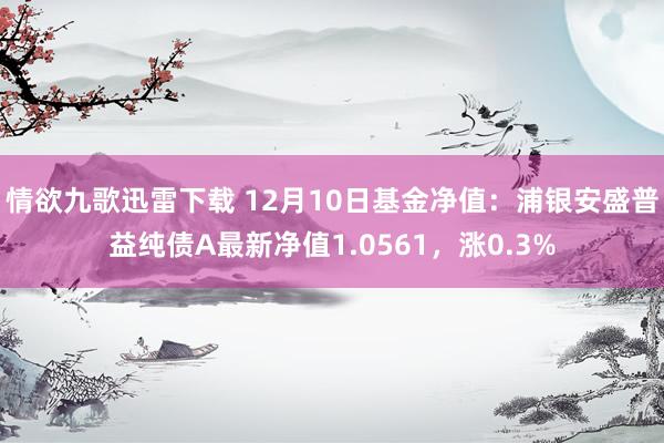 情欲九歌迅雷下载 12月10日基金净值：浦银安盛普益纯债A最新净值1.0561，涨0.3%