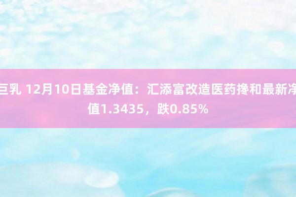 巨乳 12月10日基金净值：汇添富改造医药搀和最新净值1.3435，跌0.85%