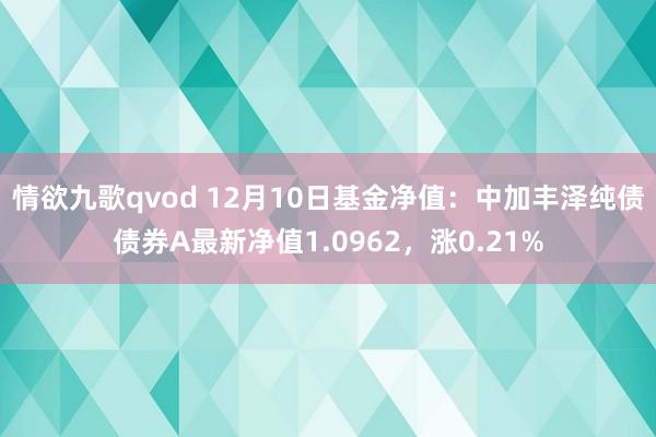 情欲九歌qvod 12月10日基金净值：中加丰泽纯债债券A最新净值1.0962，涨0.21%