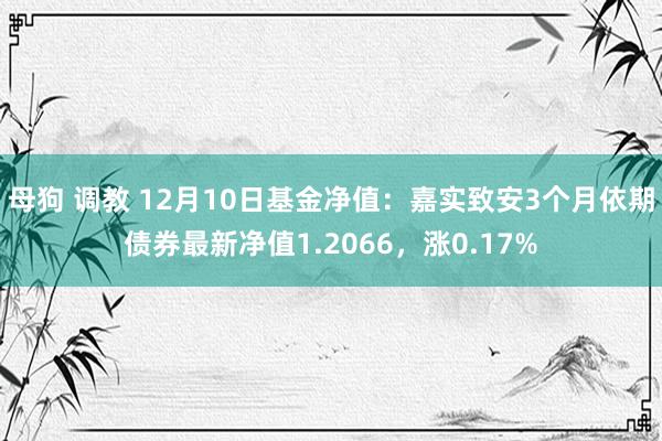 母狗 调教 12月10日基金净值：嘉实致安3个月依期债券最新净值1.2066，涨0.17%