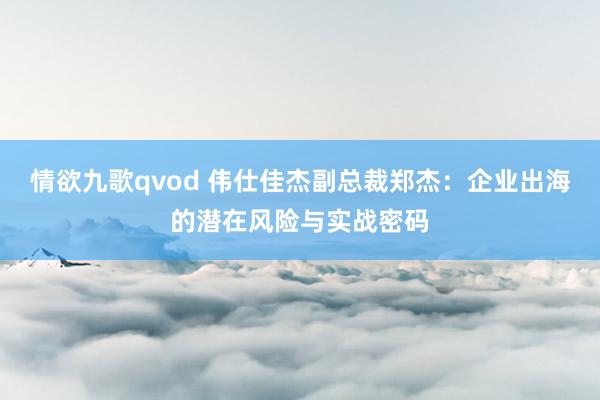 情欲九歌qvod 伟仕佳杰副总裁郑杰：企业出海的潜在风险与实战密码