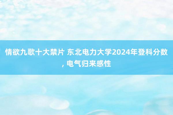 情欲九歌十大禁片 东北电力大学2024年登科分数, 电气归来感性