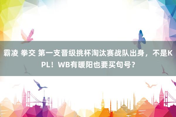 霸凌 拳交 第一支晋级挑杯淘汰赛战队出身，不是KPL！WB有暖阳也要买句号？