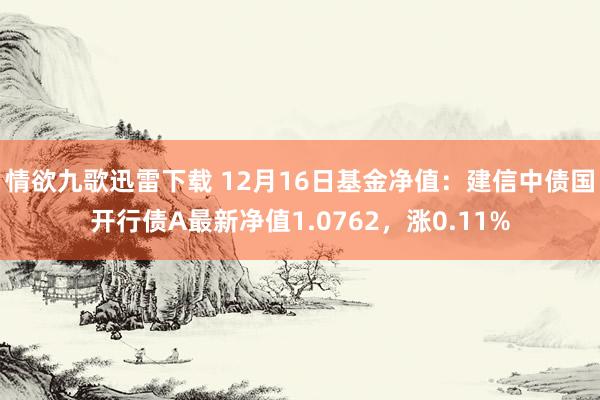 情欲九歌迅雷下载 12月16日基金净值：建信中债国开行债A最新净值1.0762，涨0.11%