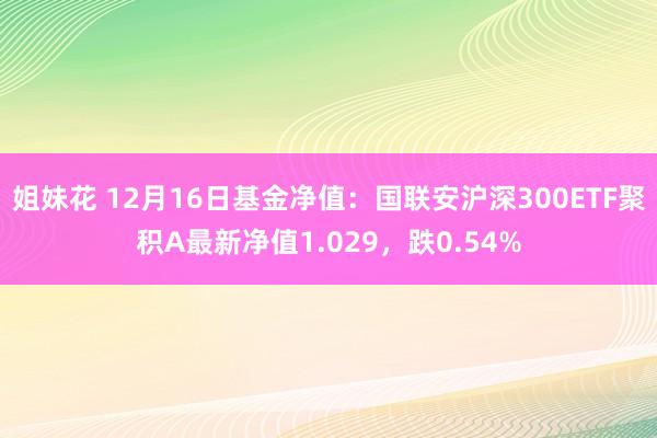 姐妹花 12月16日基金净值：国联安沪深300ETF聚积A最新净值1.029，跌0.54%