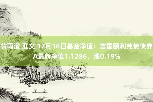 翁雨澄 肛交 12月16日基金净值：富国颐利纯债债券A最新净值1.1286，涨0.19%