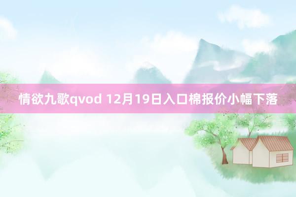 情欲九歌qvod 12月19日入口棉报价小幅下落