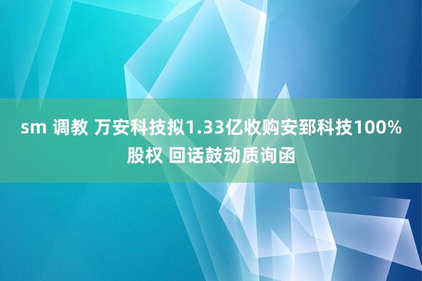 sm 调教 万安科技拟1.33亿收购安郅科技100%股权 回话鼓动质询函