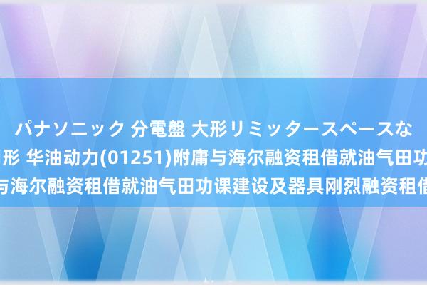 パナソニック 分電盤 大形リミッタースペースなし 露出・半埋込両用形 华油动力(01251)附庸与海尔融资租借就油气田功课建设及器具刚烈融资租借左券