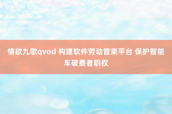 情欲九歌qvod 构建软件劳动管束平台 保护智能车破费者职权