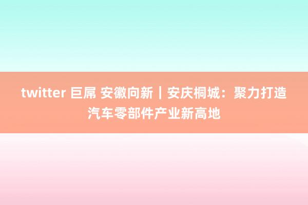 twitter 巨屌 安徽向新｜安庆桐城：聚力打造汽车零部件产业新高地