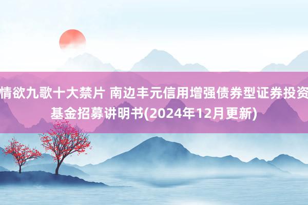 情欲九歌十大禁片 南边丰元信用增强债券型证券投资基金招募讲明书(2024年12月更新)