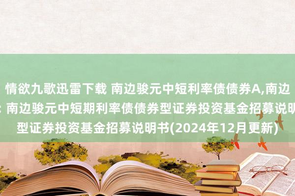 情欲九歌迅雷下载 南边骏元中短利率债债券A，南边骏元中短利率债债券C: 南边骏元中短期利率债债券型证券投资基金招募说明书(2024年12月更新)