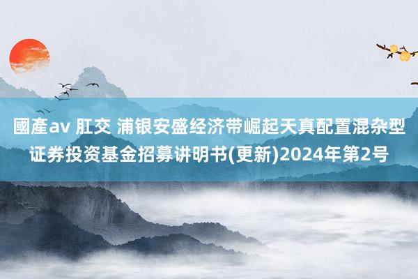 國產av 肛交 浦银安盛经济带崛起天真配置混杂型证券投资基金招募讲明书(更新)2024年第2号