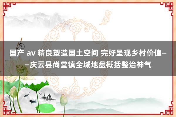 国产 av 精良塑造国土空间 完好呈现乡村价值——庆云县尚堂镇全域地盘概括整治神气