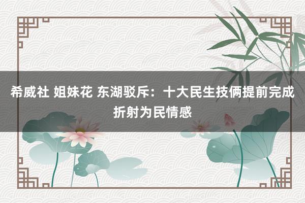 希威社 姐妹花 东湖驳斥：十大民生技俩提前完成折射为民情感