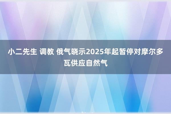 小二先生 调教 俄气晓示2025年起暂停对摩尔多瓦供应自然气