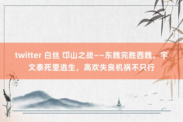 twitter 白丝 邙山之战——东魏完胜西魏，宇文泰死里逃生，高欢失良机祸不只行