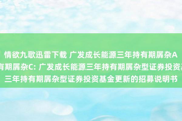 情欲九歌迅雷下载 广发成长能源三年持有期羼杂A，广发成长能源三年持有期羼杂C: 广发成长能源三年持有期羼杂型证券投资基金更新的招募说明书