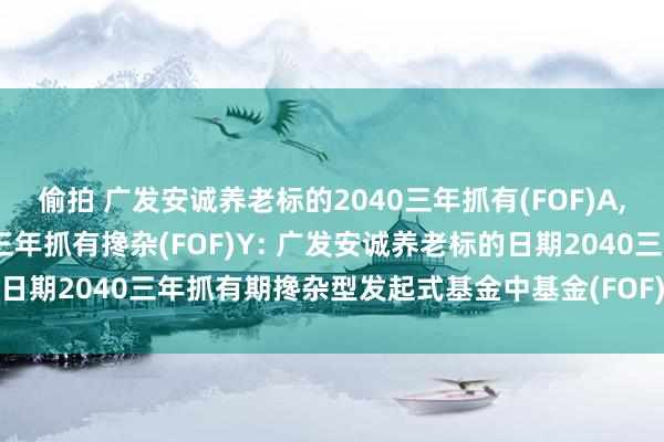 偷拍 广发安诚养老标的2040三年抓有(FOF)A,广发安诚养老标的2040三年抓有搀杂(FOF)Y: 广发安诚养老标的日期2040三年抓有期搀杂型发起式基金中基金(FOF)更新的招募说明书