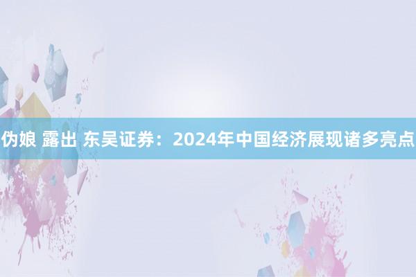 伪娘 露出 东吴证券：2024年中国经济展现诸多亮点