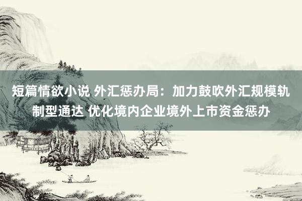 短篇情欲小说 外汇惩办局：加力鼓吹外汇规模轨制型通达 优化境内企业境外上市资金惩办