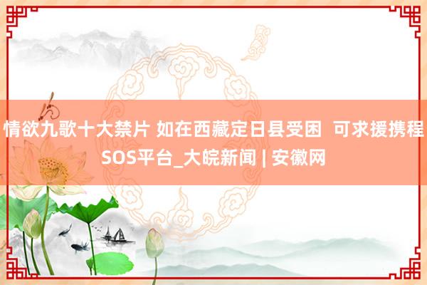 情欲九歌十大禁片 如在西藏定日县受困  可求援携程SOS平台_大皖新闻 | 安徽网