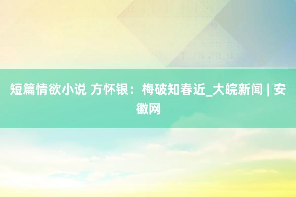 短篇情欲小说 方怀银：梅破知春近_大皖新闻 | 安徽网