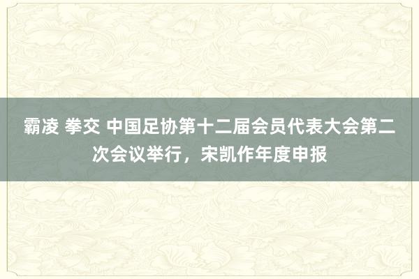 霸凌 拳交 中国足协第十二届会员代表大会第二次会议举行，宋凯作年度申报