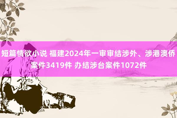 短篇情欲小说 福建2024年一审审结涉外、涉港澳侨案件3419件 办结涉台案件1072件