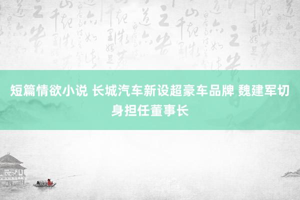 短篇情欲小说 长城汽车新设超豪车品牌 魏建军切身担任董事长