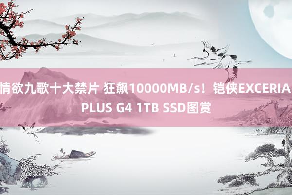 情欲九歌十大禁片 狂飙10000MB/s！铠侠EXCERIA PLUS G4 1TB SSD图赏