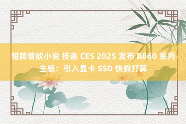 短篇情欲小说 技嘉 CES 2025 发布 B860 系列主板：引入显卡 SSD 快拆打算