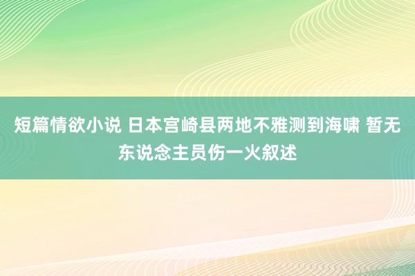 短篇情欲小说 日本宫崎县两地不雅测到海啸 暂无东说念主员伤一火叙述