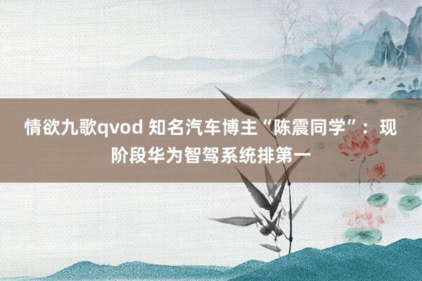 情欲九歌qvod 知名汽车博主“陈震同学”：现阶段华为智驾系统排第一